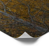 Poster Mt Ouray (Coin)