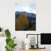 Poster Mt Ouray (Bureau à domicile)