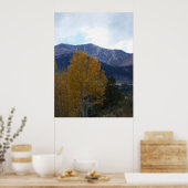 Poster Mt Ouray (Cuisine)