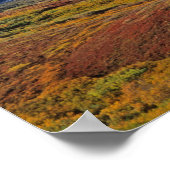 Poster Mt. Parc national McKinley Denali, Alaska. (Coin)