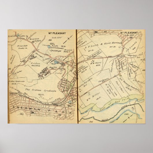 Poster Mt. Pleasant, New York 3 (Devant)