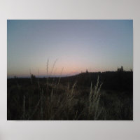 Mt Rainier.