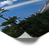 Poster Mt. Rainier Panorama (Coin)