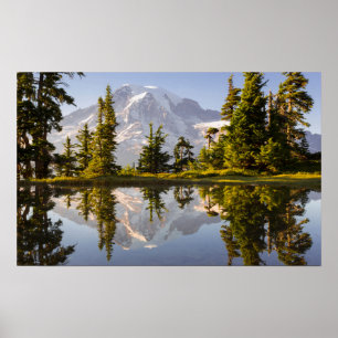 Poster Mt. Rainier se reflète dans un lac glaciaire près