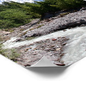 Poster Mt Ranier (Coin)