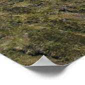 Poster Mt Rollerston de Scott's Track (Coin)