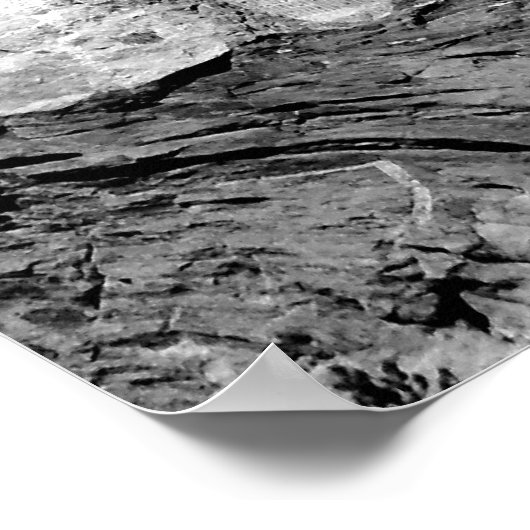 Poster MT Rushmore Poster/ BW (Coin)