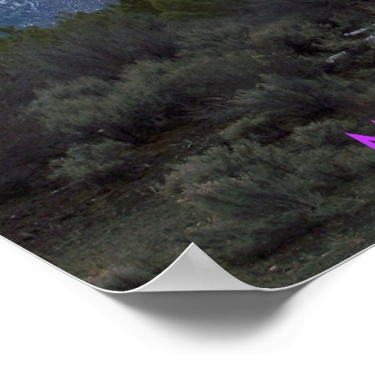 Poster Mt. Shasta (Coin)