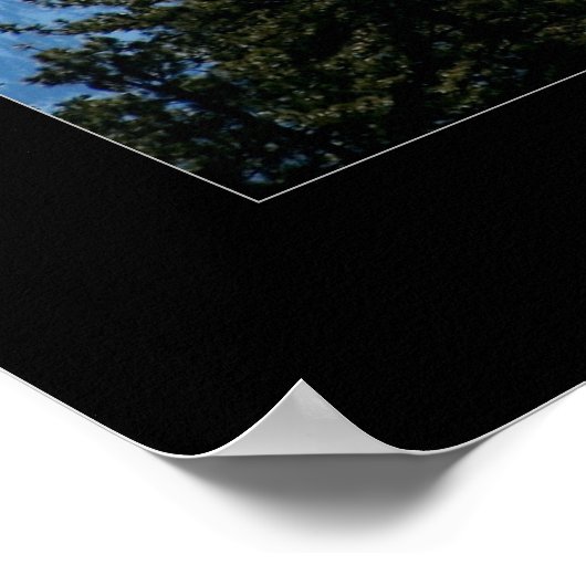 Poster Mt Shasta (Coin)