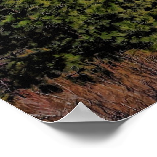 POSTER MT SHASTA AVEC LENTICULAIRE (Coin)