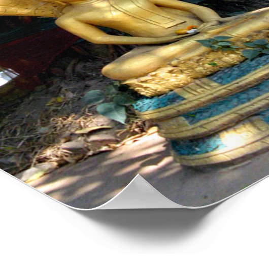 Poster Mucalinda (Coin)