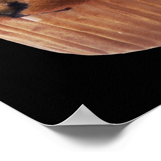 Poster Muffin (Coin)