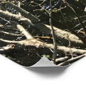 Poster Muir Creek, Oregon (Coin)