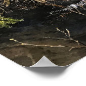 Poster Muir Creek, Oregon (Coin)