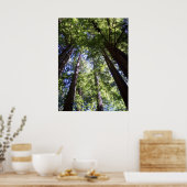 Poster Muir Woods (Cuisine)