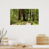 Poster Muir Woods Chemin I Nature Photographie (Cuisine)