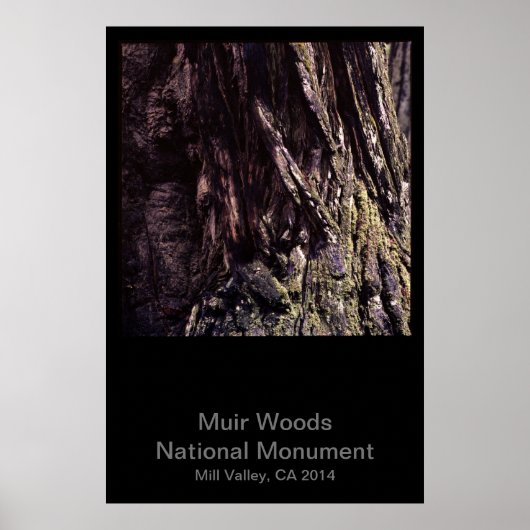 Poster Muir Woods National Monument Color (Dark) (Devant)