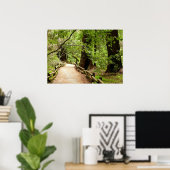 Poster Muir Woods Path II Nature Photography (Bureau à domicile)