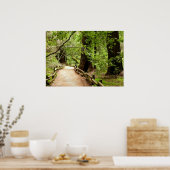 Poster Muir Woods Path II Nature Photography (Cuisine)