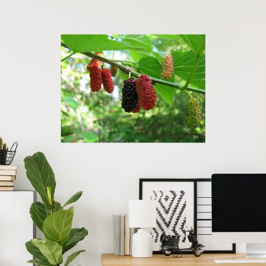 Poster Mulberry rouges (Bureau à domicile)