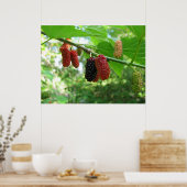 Poster Mulberry rouges (Cuisine)