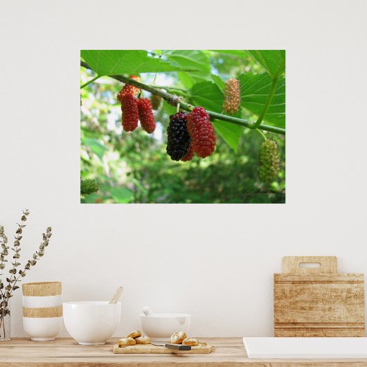 Poster Mulberry rouges (Cuisine)