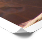 Poster Mule blanche, Petra, Jordanie (Coin)