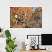 Poster Mule Deer (Bureau à domicile)