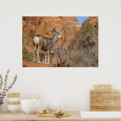 Poster Mule Deer (Cuisine)