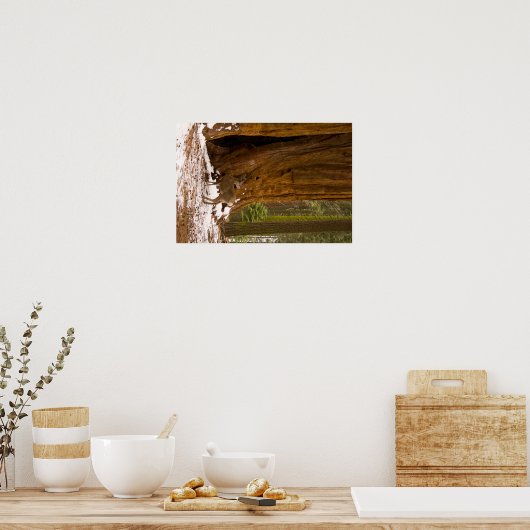 Poster Mule Deer (Cuisine)