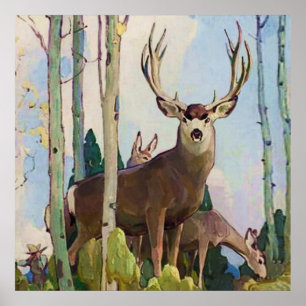 Poster "Mule Deer Buck and Doe" par W Herbert Dunton