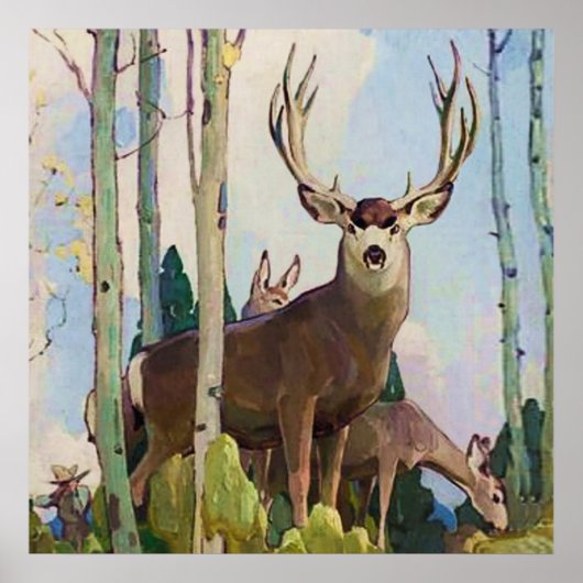 Poster « Mule Deer Buck et Doe » par W Herbert Dunton (Devant)