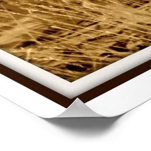 Poster Mule Deer : Doe (Coin)