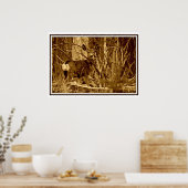 Poster Mule Deer : Doe (Cuisine)