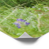 Poster Mule Deer Doe avec Fawn (Coin)