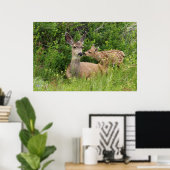Poster Mule Deer Doe avec Fawn (Bureau à domicile)