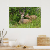 Poster Mule Deer Doe avec Fawn (Cuisine)
