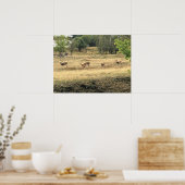 Poster Mule Deer in a Field, Joseph, Oregon (Cuisine)