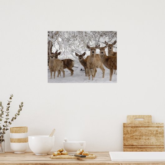 Poster Mule Deer Wyoming (Cuisine)