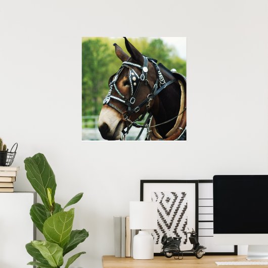 Poster mule noire (Bureau à domicile)