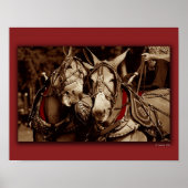 Poster Mule Speak (Devant)