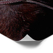 Poster Mule Twosome (Coin)