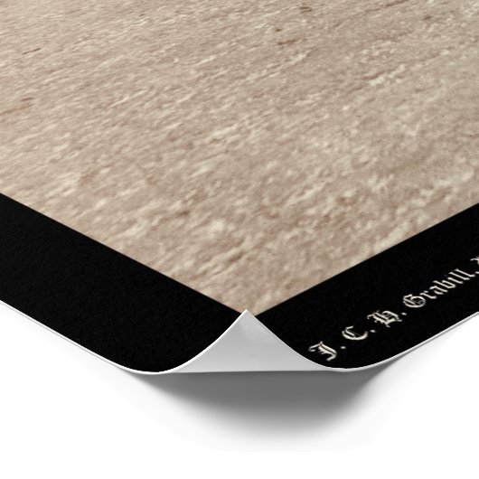 Poster Mules Mules SD 1887 (Coin)