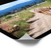 Poster Mulet espagnol sur route de campagne (Coin)