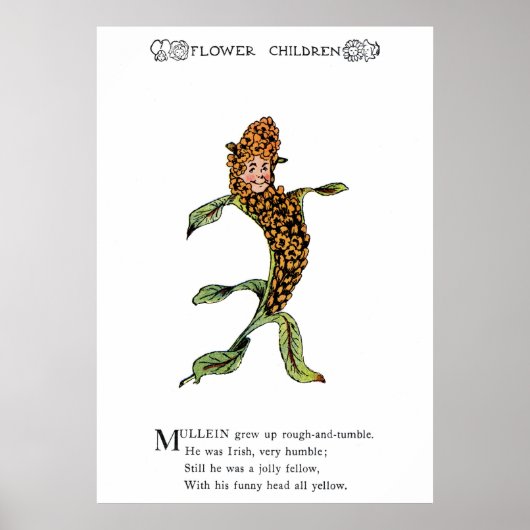 Poster Mullein (Devant)