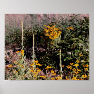Poster Mulleins Black Eyed Susan Flowers
