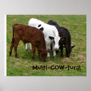 Poster Multiculturel ? Nous sommes Multi-VACHE-tural !