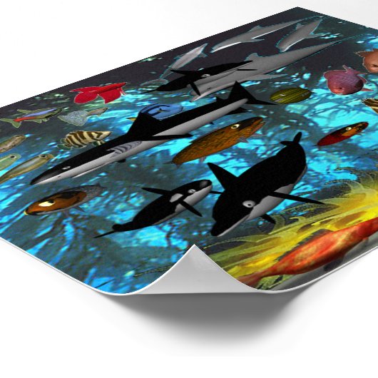 POSTER MULTIFISH (Coin)