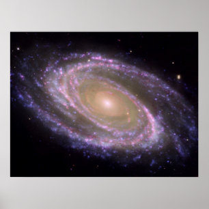 Poster Multilongueur d'onde M81