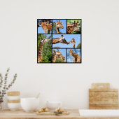 Poster Multiples photos de girafes (Cuisine)